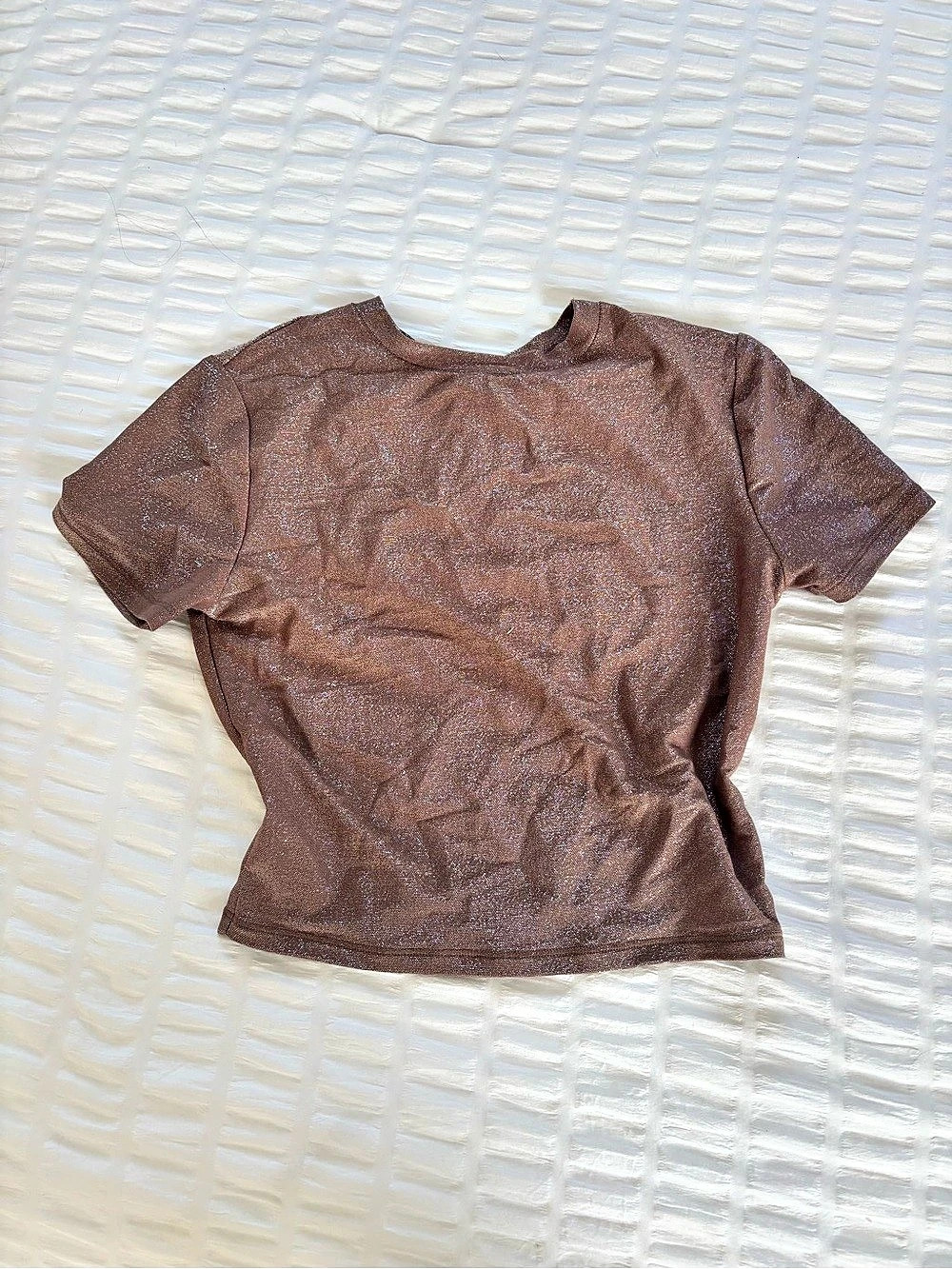 SKIMS -Shimmer Short Sleeve Top in Brown Small